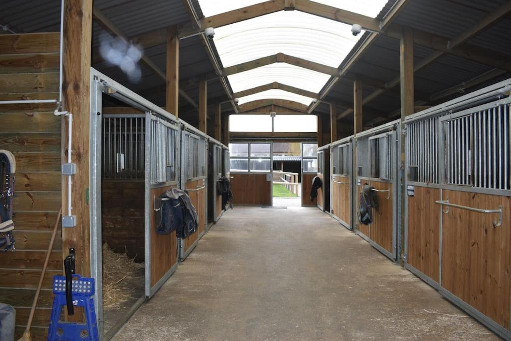 Haras De Connincthun Villa Beuvrequen Exteriör bild